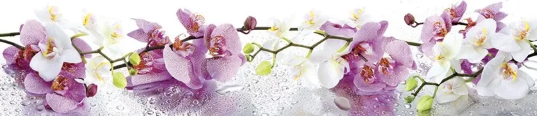 Read more about the article Cтеновая панель FR-20
