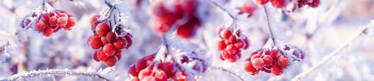 Read more about the article Cтеновая панель SP 169