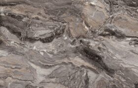 261 Паладина коричневая